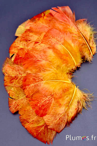 Pute Spritzer rot - 6-8 cm - curry